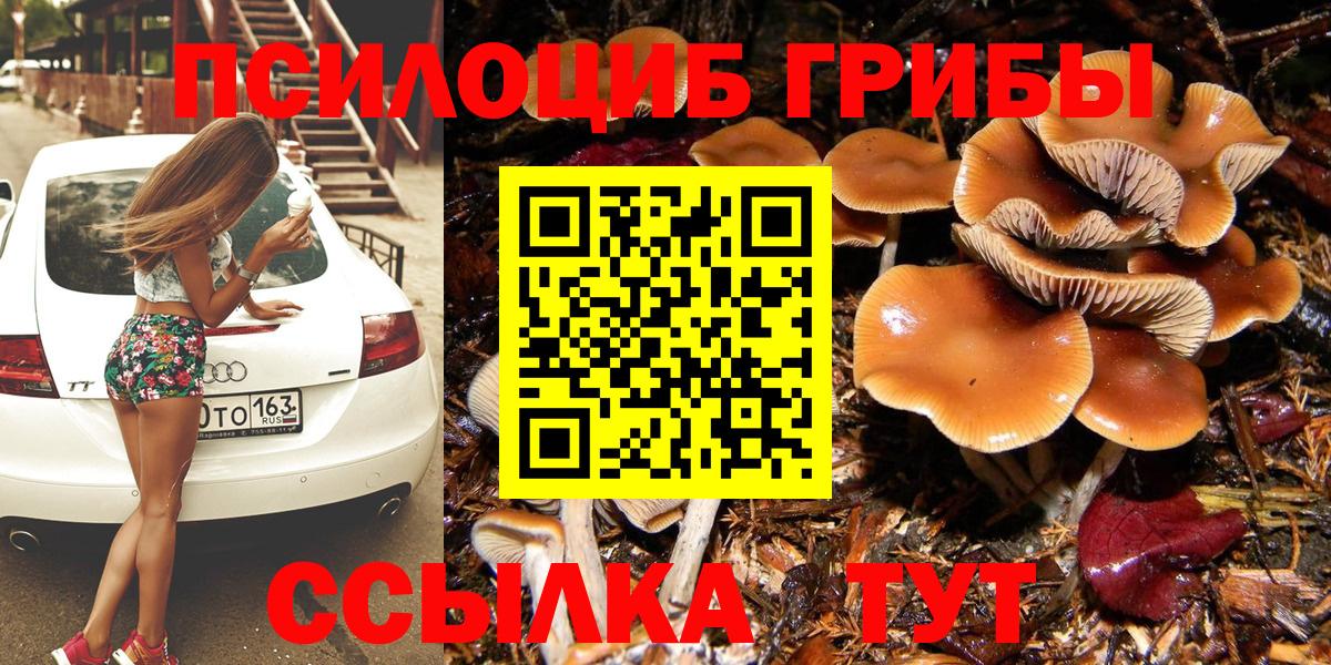Галлюциногенные грибы Cubensis  Вход с VPN  Россия 